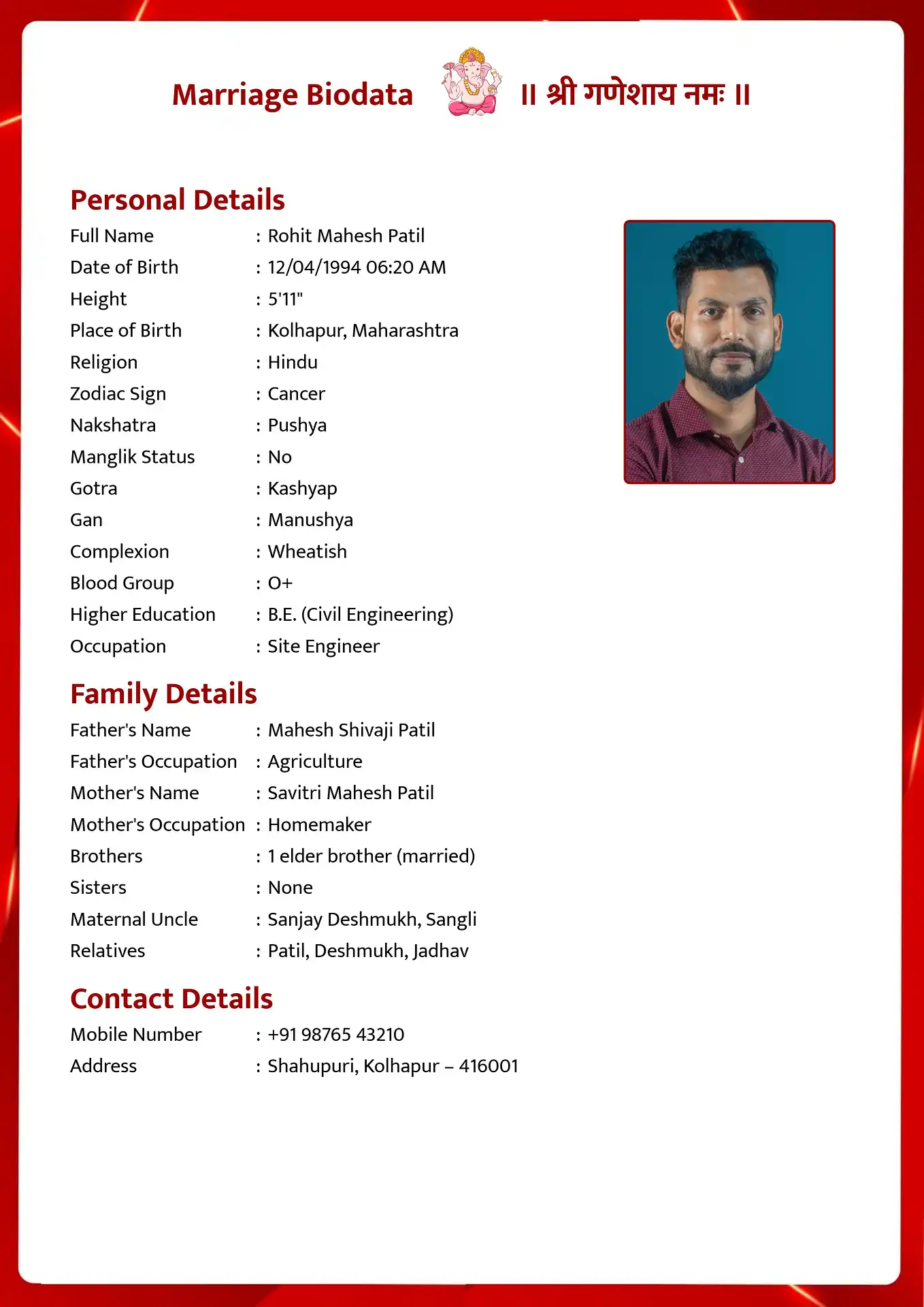 Abstract Flames biodata template